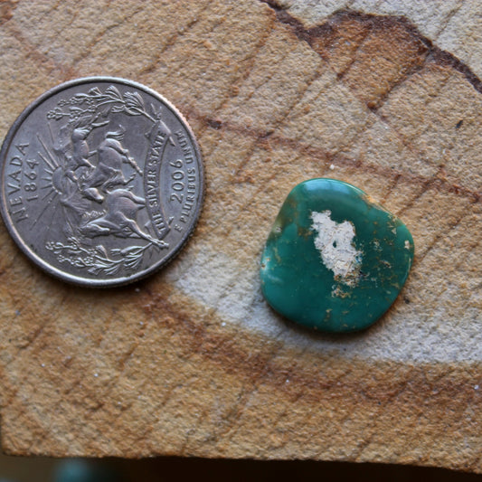 7 carat deep green Stone Mountain Turquoise cabochon