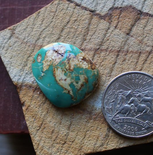 20 carat teal green Stone Mountain Turquoise cabochon