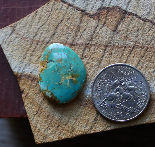 16 carat teal green Stone Mountain Turquoise cabochon