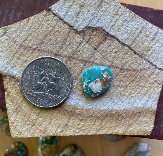 6 carat dark blue Stone Mountain Turquoise cabochon