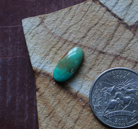 4 carat green Stone Mountain Turquoise cabochon