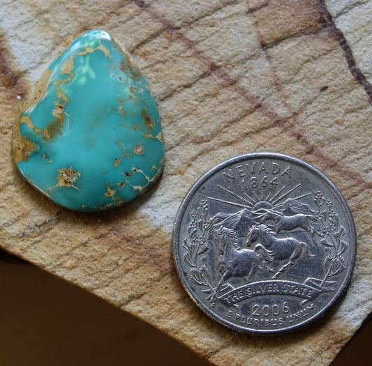 11 carat blue Stone Mountain Turquoise cabochon