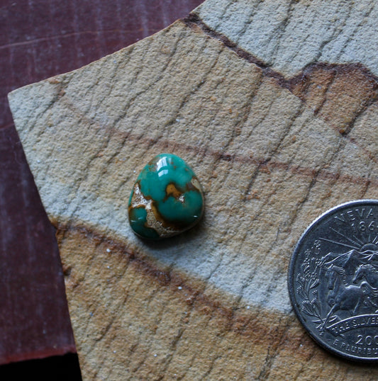 4 carat green Stone Mountain Turquoise cabochon with red matrix