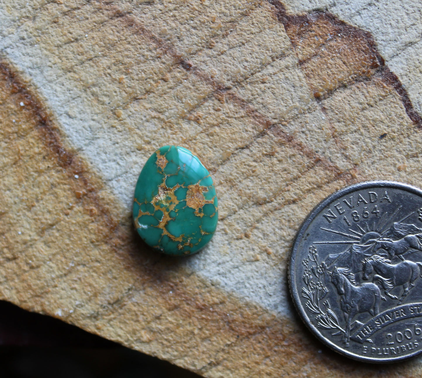 5 green teal Stone Mountain Turquoise cabochon