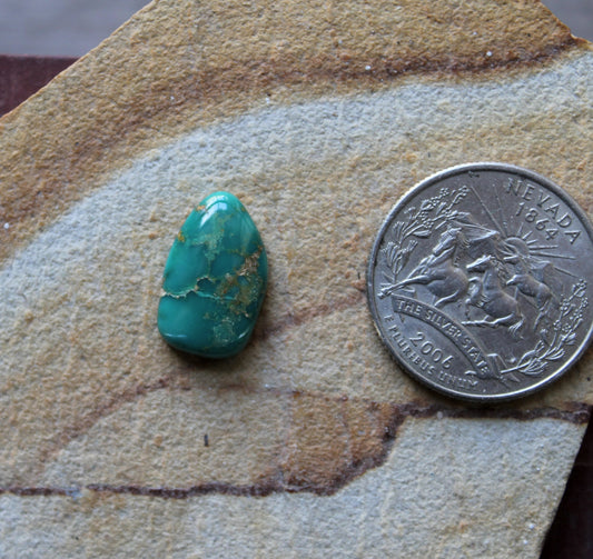 6 carat green Stone Mountain Turquoise cabochon