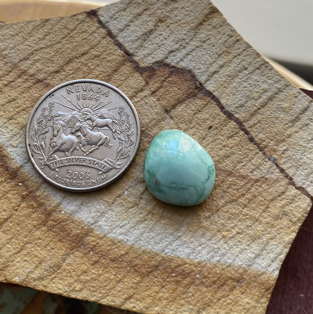10 carat light green natural Candelaria variscite cabochon with a high dome