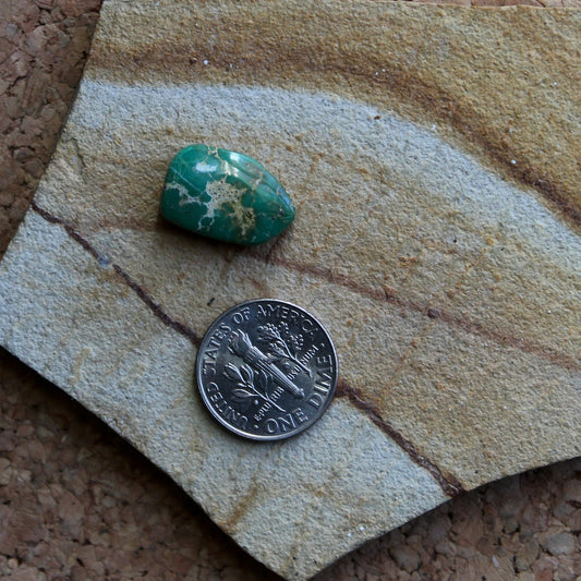 7.8 carat teal Stone Mountain Turquoise cabochon