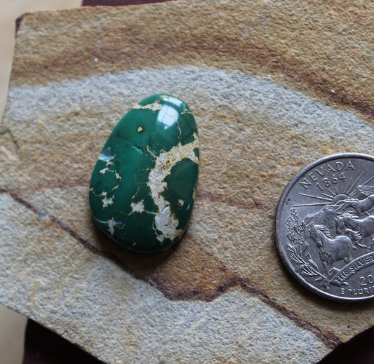 22 carat green Stone Mountain Turquoise cabochon with a high dome