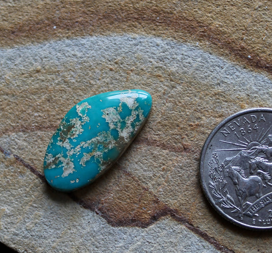 12 carat blue-teal Stone Mountain Turquoise cabochon