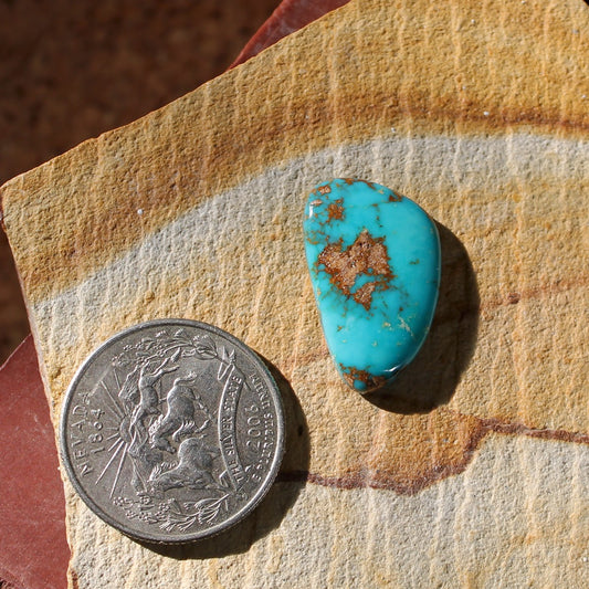 13.7 dark blue Stone Mountain Turquoise cabochon with red matrix