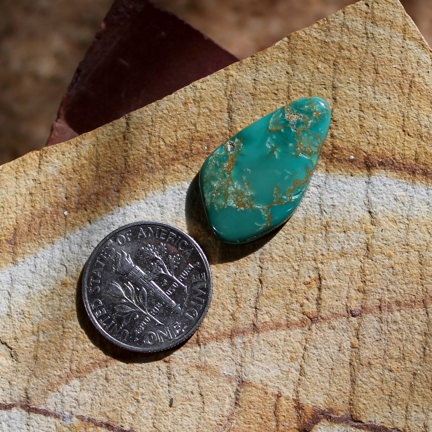 9.3 carat green Stone Mountain Turquoise cabochon with brown matrix