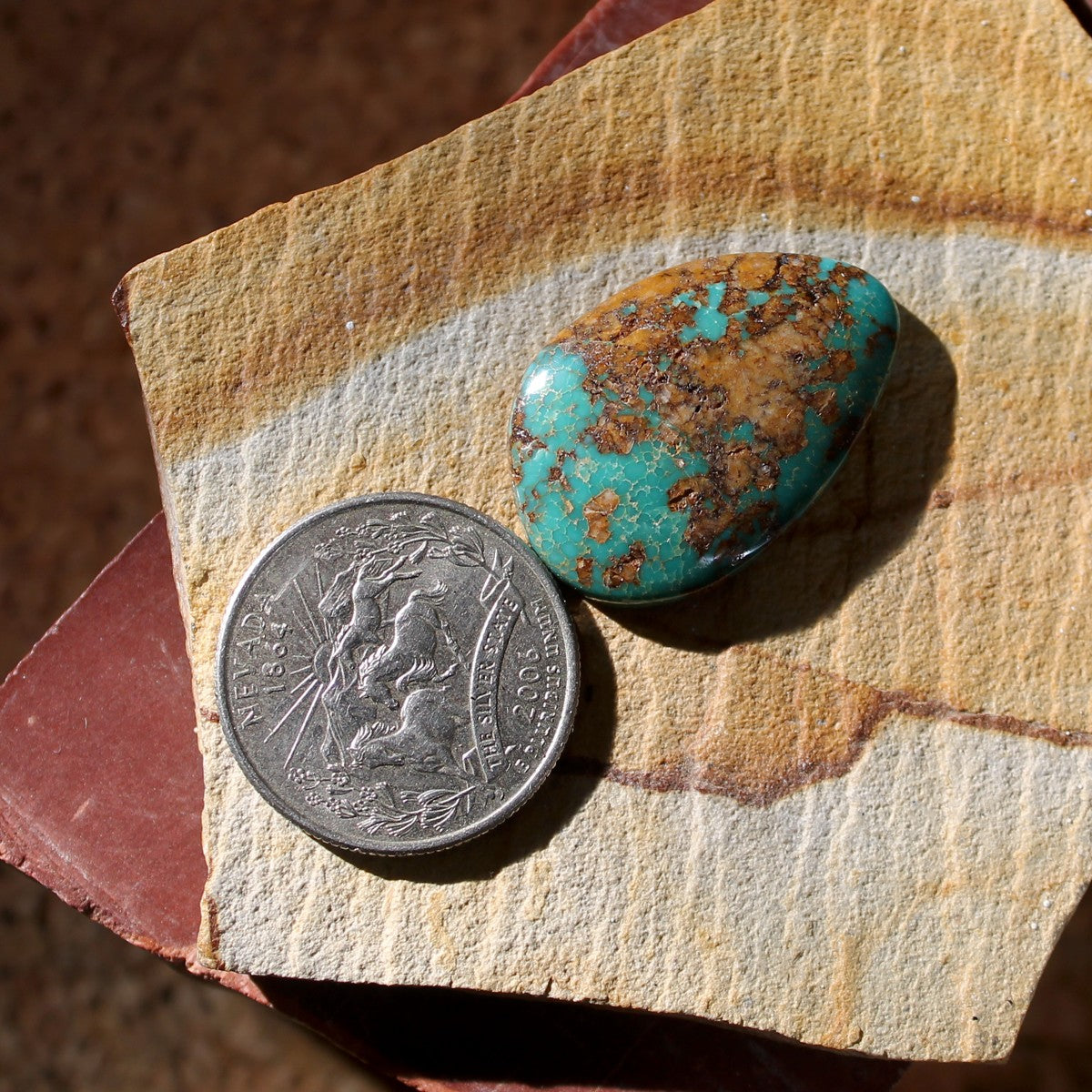 26.3 dark blue Stone Mountain Turquoise cabochon with red matrix
