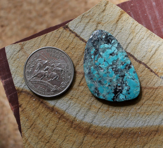26.2 carat blue natural Blue June turquoise cabochon with a black matrix