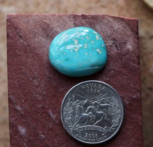 19 carat blue turquoise cabochon from Stone Mountain Mine with quartz matrix