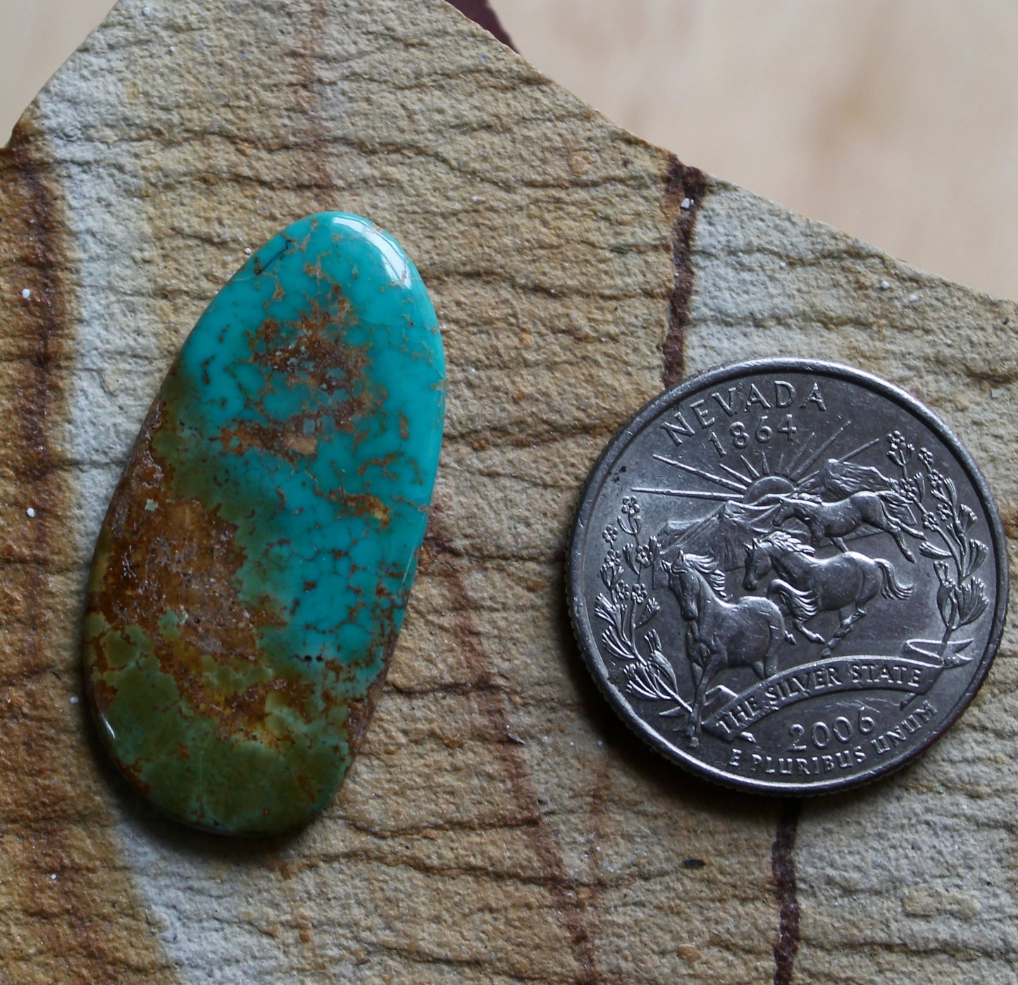 16 carat color change Stone Mountain Turquoise cabochon