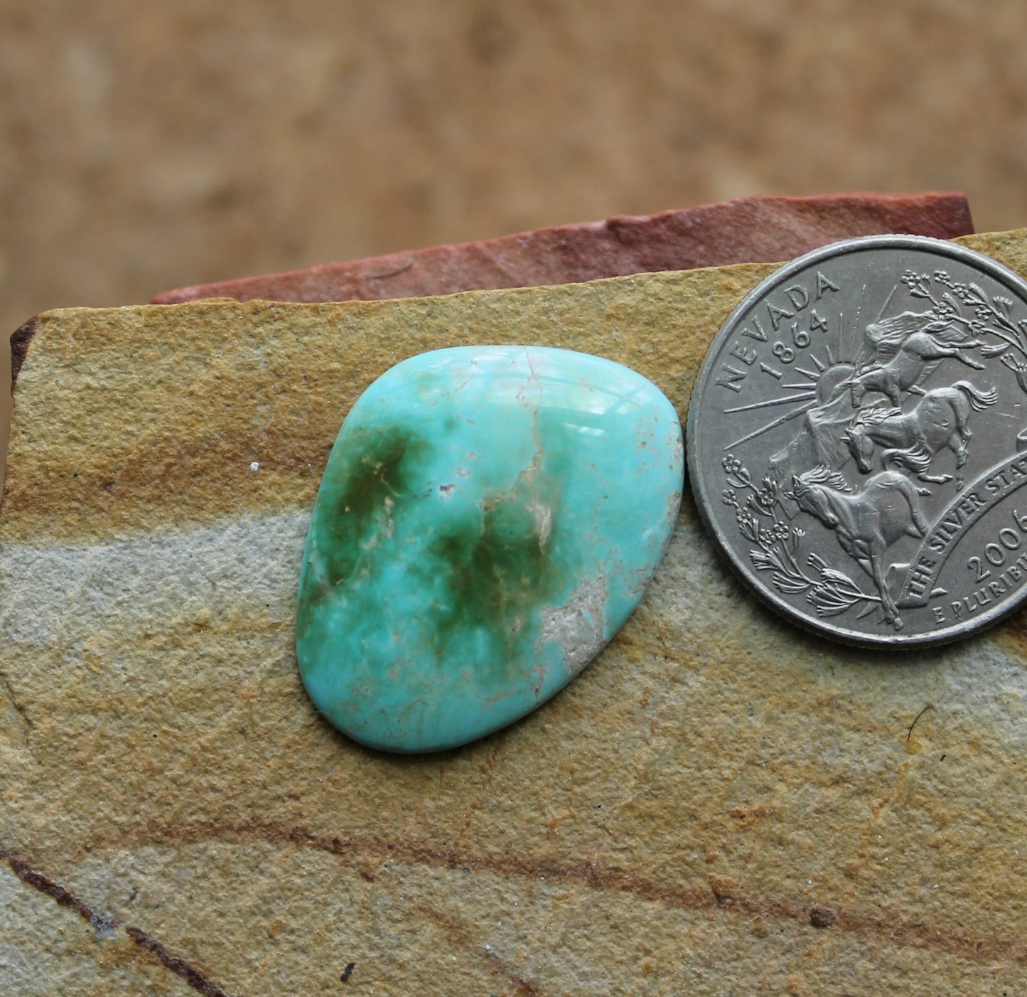 13.5 carat bicolor Stone Mountain Turquoise cabochon