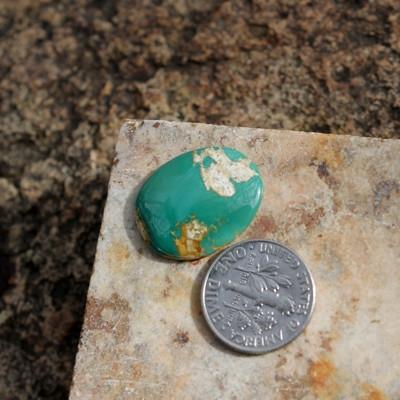 A deep shade of green contrasted by tan island like lumps of matrix on this natural turquoise cabochon.