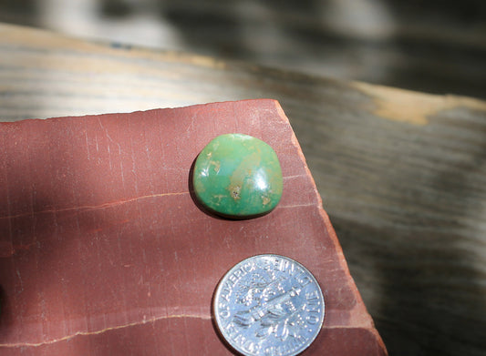 6 carat forest green Stone Mountain Turquoise cabochon