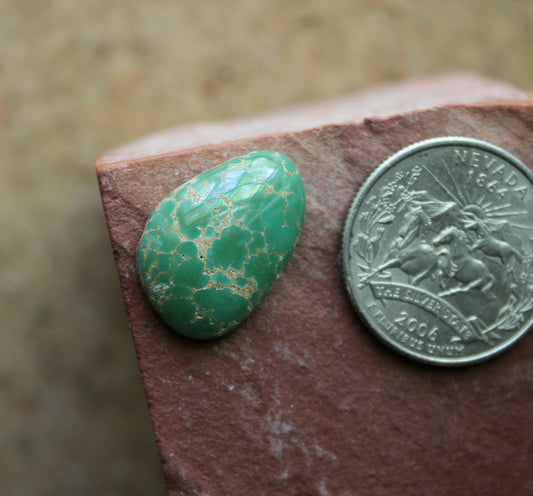 12 carat green turquoise spiderweb cabochon from the Cresent Valley in Nevada