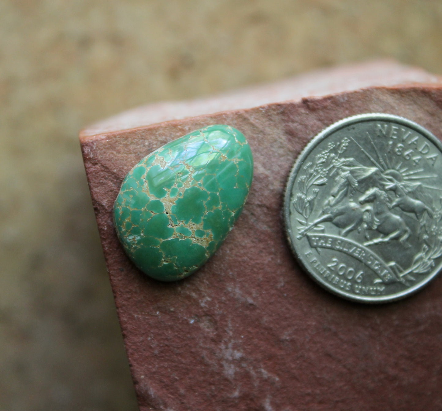 12 carat green turquoise spiderweb cabochon from the Cresent Valley in Nevada