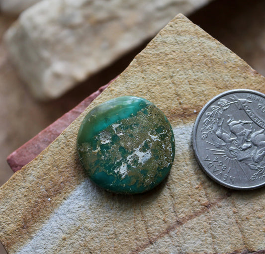 17 carat round green turquoise cabochon from Stone Mountain Mine