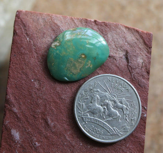 12.5 carat green turquoise cabochon from Stone Mountain Mine