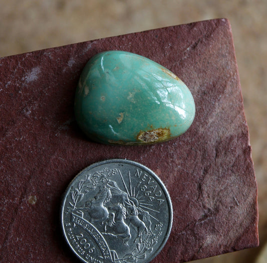 29 carat green turquoise cabochon from Stone Mountain Mine with high dome