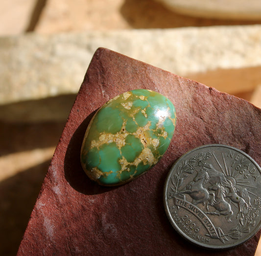22 carat green Stone Mountain Turquoise cabochon with orange matrix