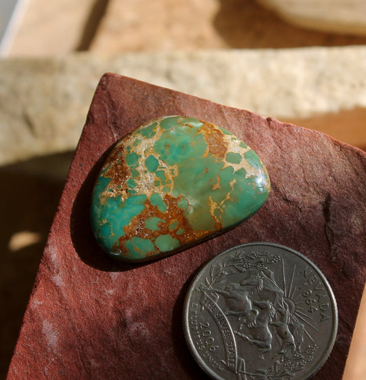 27 carat green Stone Mountain Turquoise cabochon with iron stained matrix