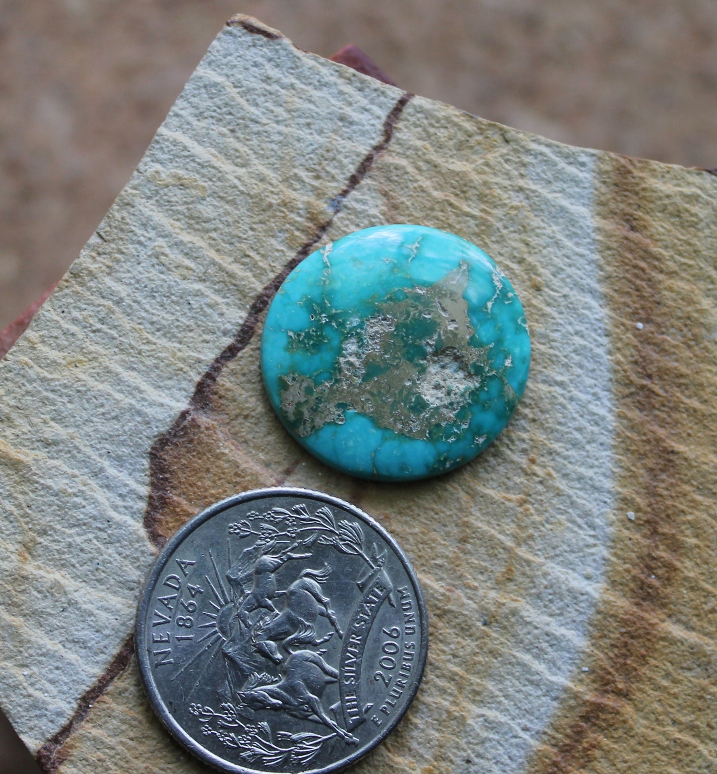 14 carat round green turquoise cabochon from Stone Mountain Mine