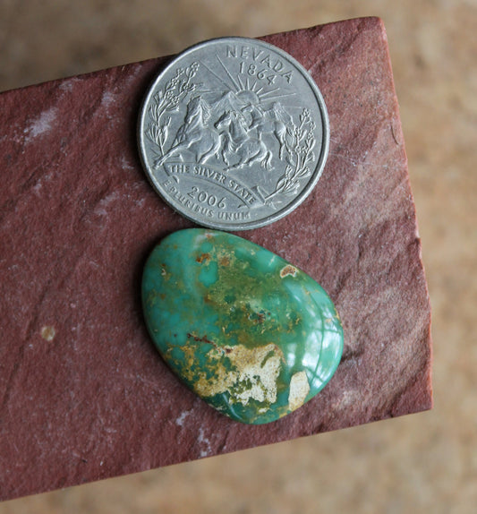 19 carat forest green Stone Mountain Turquoise cabochon