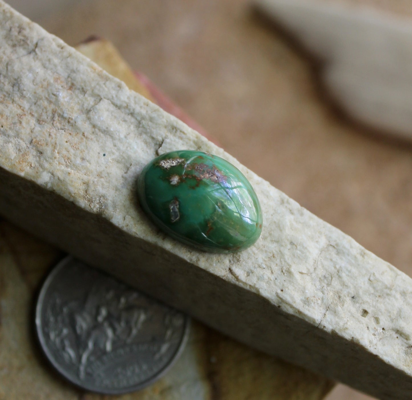 11.6 carat green Stone Mountain Turquoise high dome cabochon