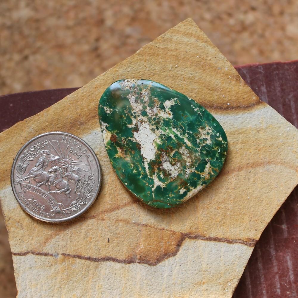 33.8 carat dark green Stone Mountain Turquoise flat-top cabochon - Nevada Cassidys