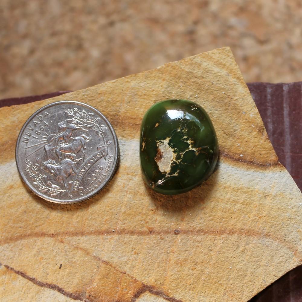 25 carat dark green Stone Mountain Turquoise with a high dome - Nevada Cassidys