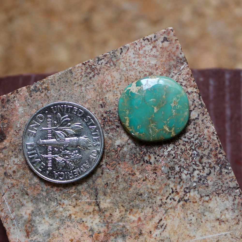 4.8 carat round green Stone Mountain Turquoise cabochon