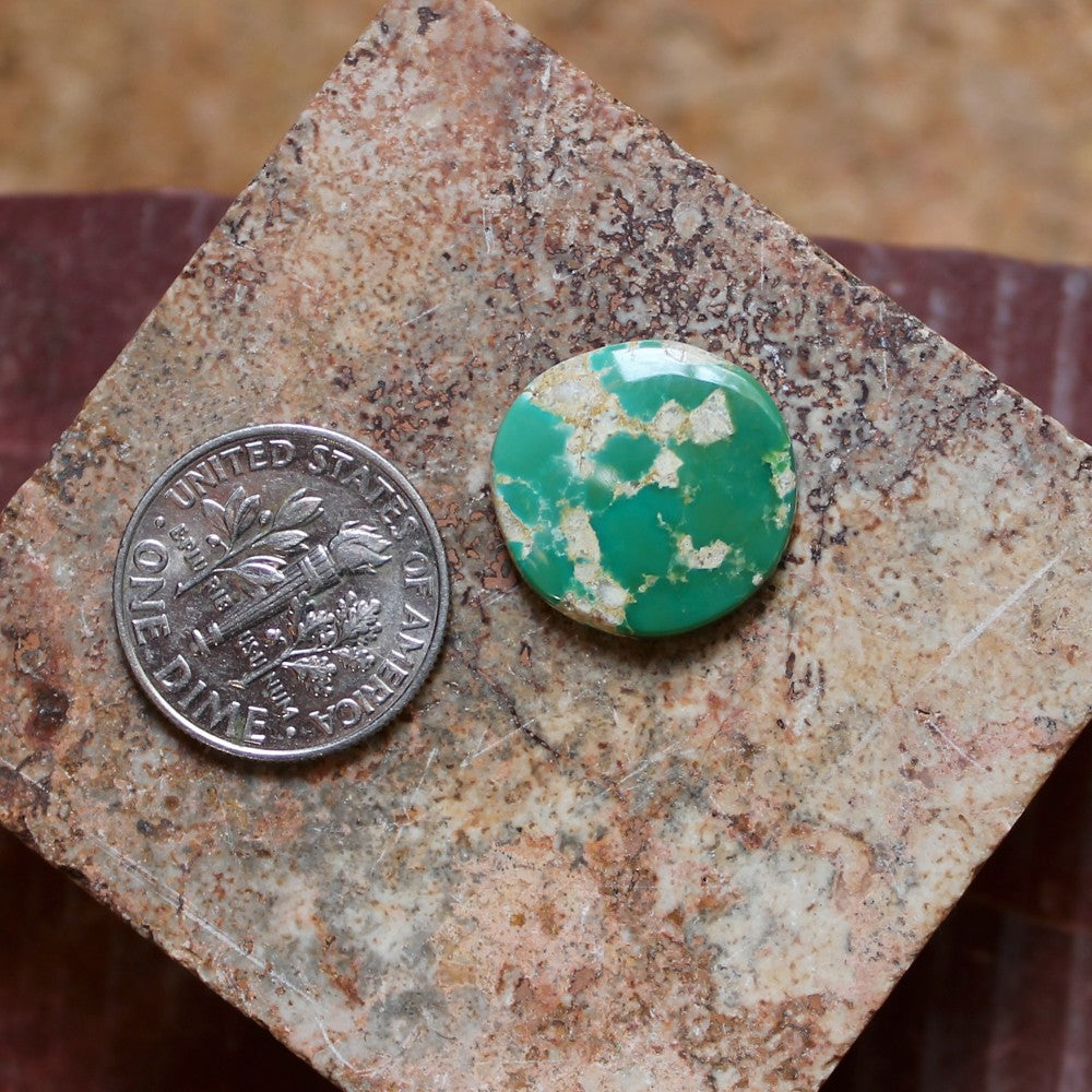 6.8 carat green round Stone Mountain Turquoise cabochon