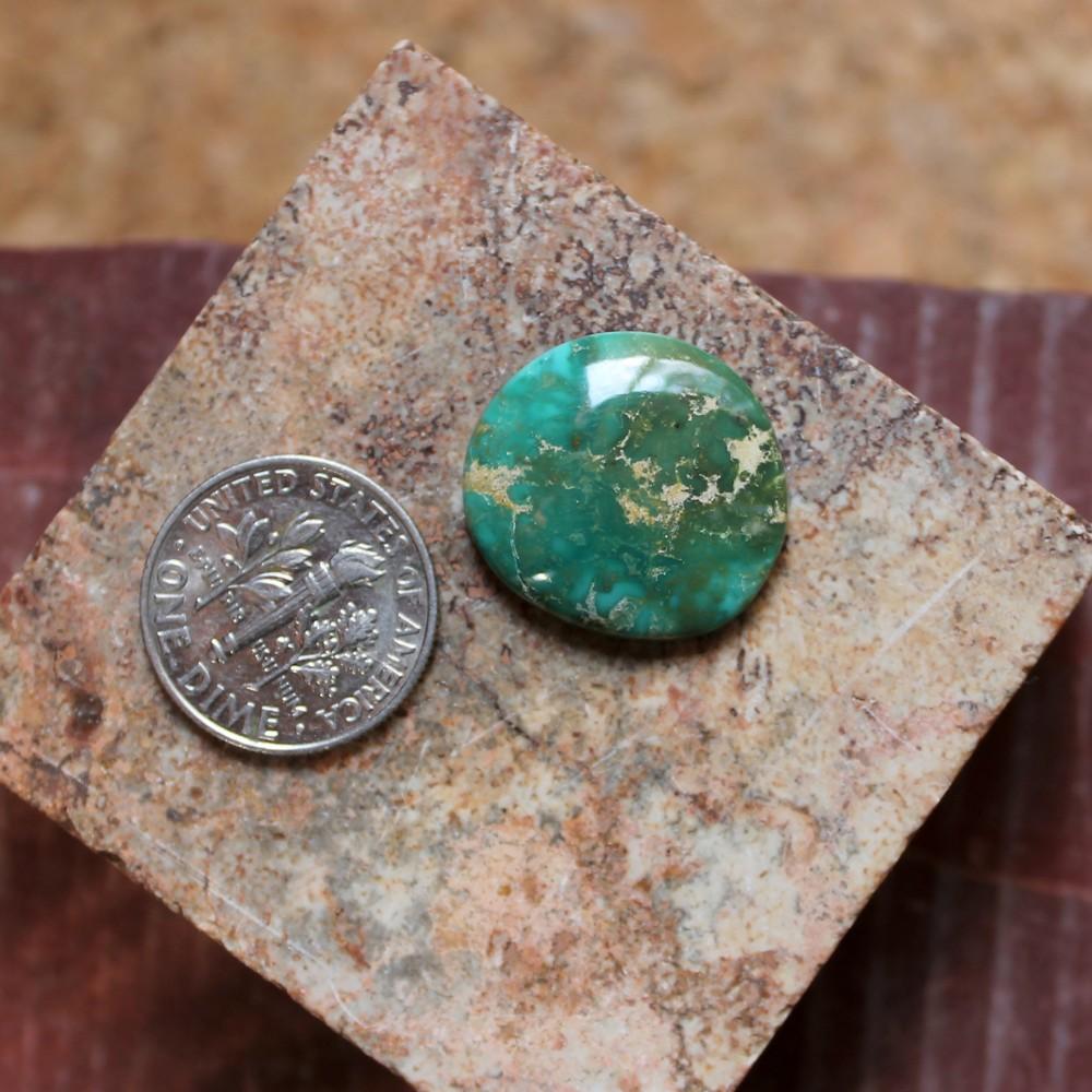11 carat green Stone Mountain Turquoise cabochon - Nevada Cassidys