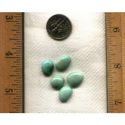 A light blue suite of turquoise cabochons with from the high deserts of northern Nevada.