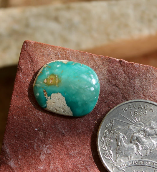 8 carat deep teal Stone Mountain Turquoise cabochon
