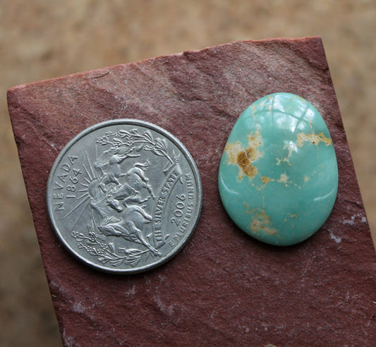 13.2 carat teal turquoise cabochon from Stone Mountain Mine