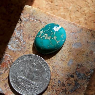 Vivid teal-green with spiderweb matrix on this natural Nevada turquoise cabochon