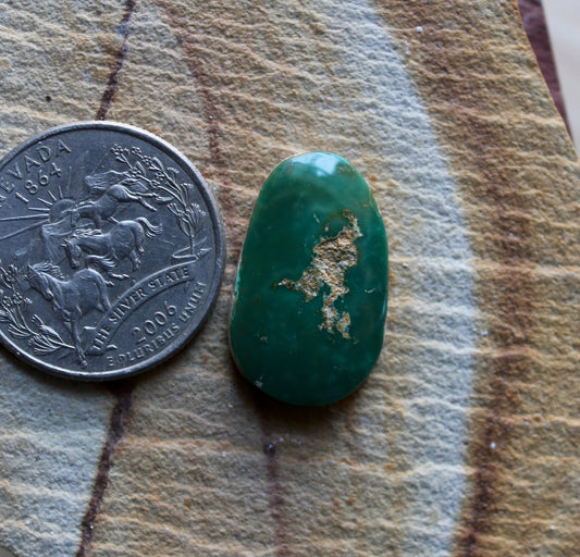 11 carat green Stone Mountain Turquoise cabochon